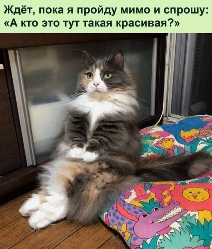 Ждёт пока я пройду мимо и спрошу А кто это тут такая красивая