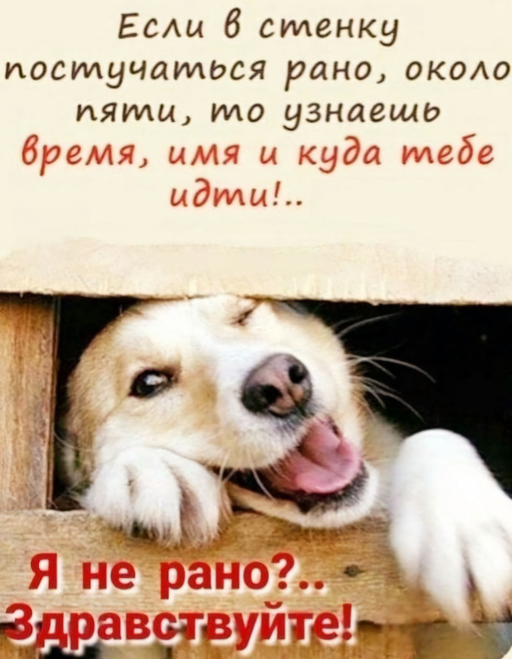 ЕСАЫ 6 стенку постучаться рано окахо пяти то узнаещо