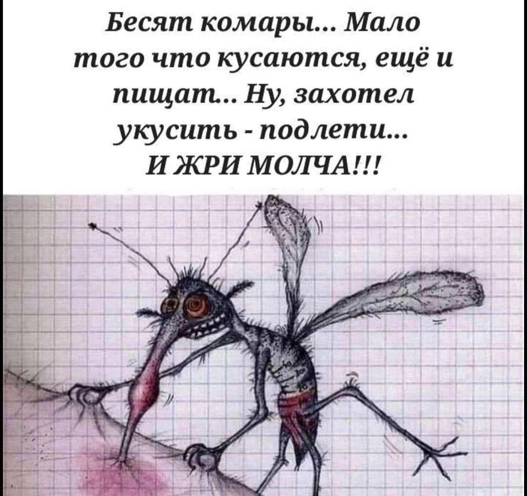 Бесят комары Мало того что кусаются ещё и пищат Ну захотел укусить подлети И ЖРИ МОЛЧА
