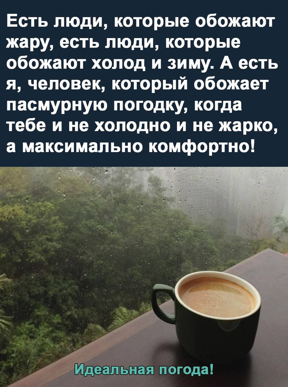 Есть люди которые обожают жару есть люди которые обожают холод и зиму А есть я человек который обожает пасмурную погодку когда тебе и не холодно и не жарко а максимально комфортно г Идеальная погода