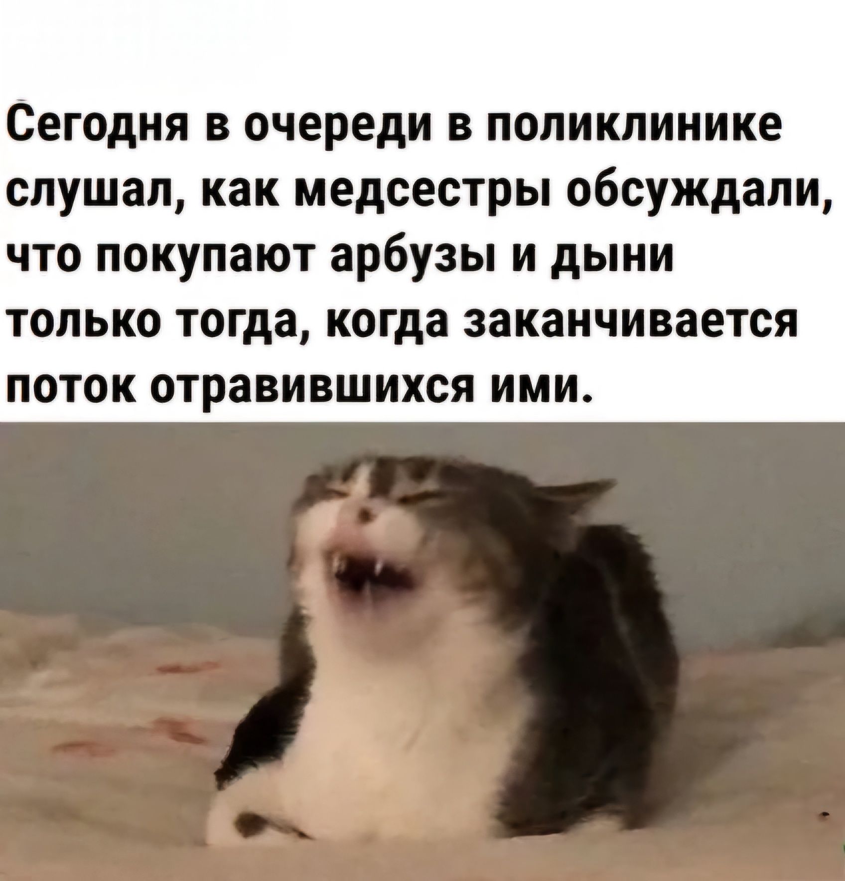 Сегодня в очереди в поликлинике слушал как медсестры обсуждали что покупают арбузы и дыни только тогда когда заканчивается поток отравившихся ими