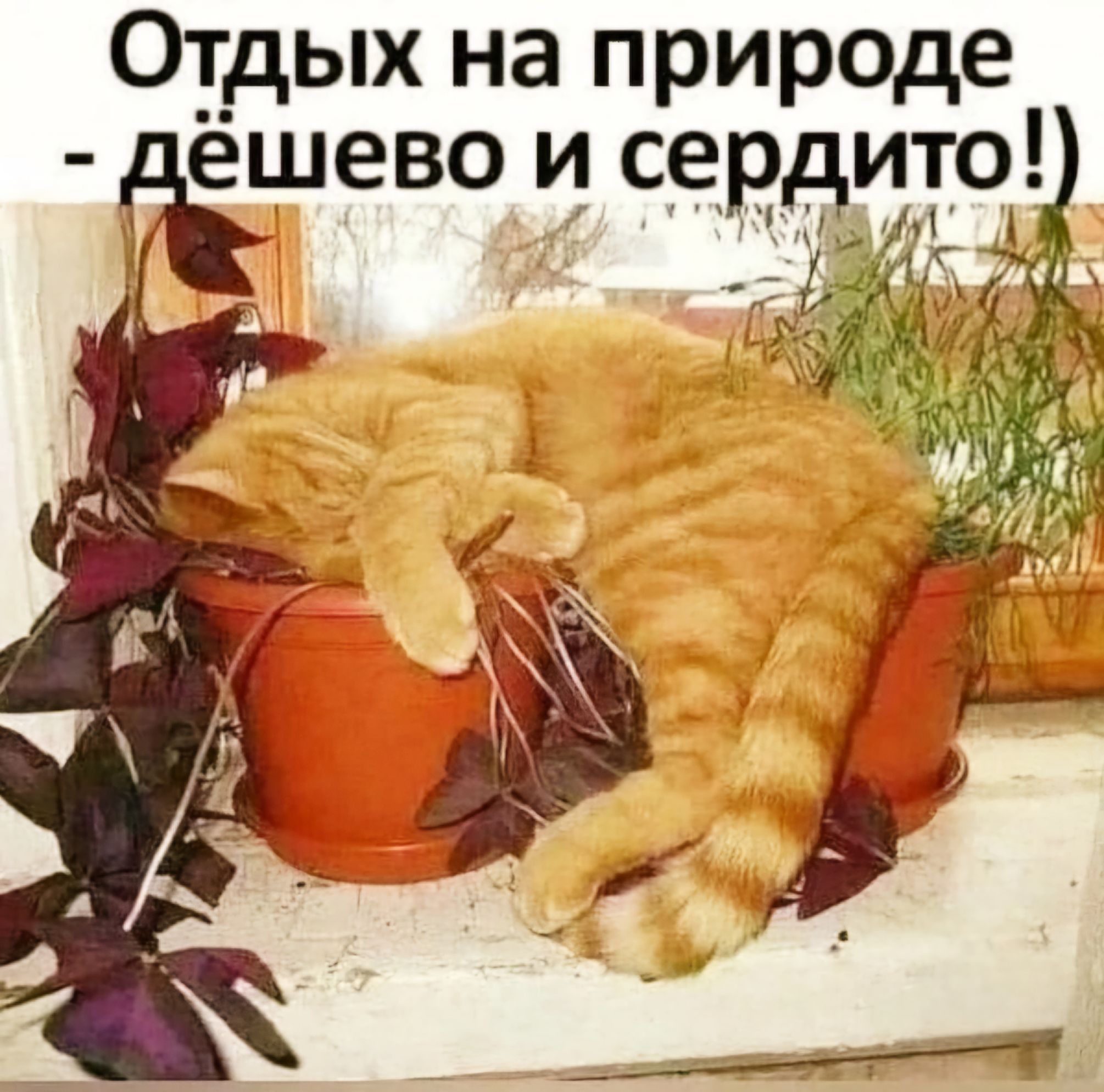 Отдых на природе дшево сердито