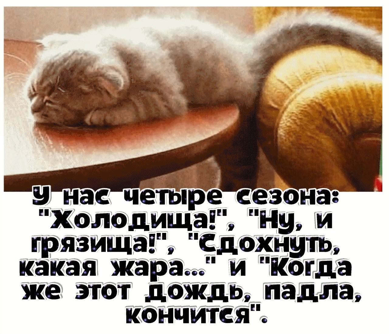 на четыре сезона холодищагц нуи грязища Сдохнуть какая жара ик_огда же этот дождь палла кончится
