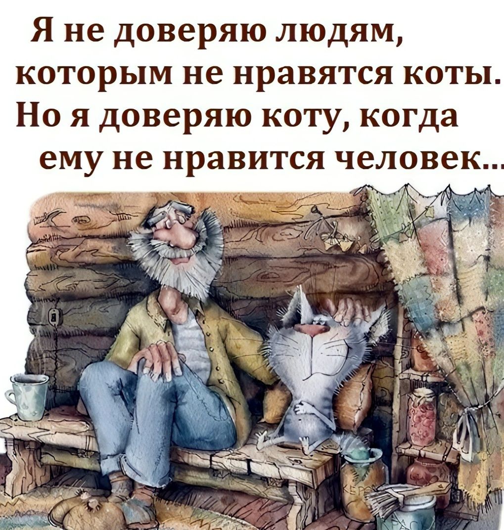 Я не доверяю людям которым не нравятся коты Но я доверяю коту когда ему не нравится человек Кч т