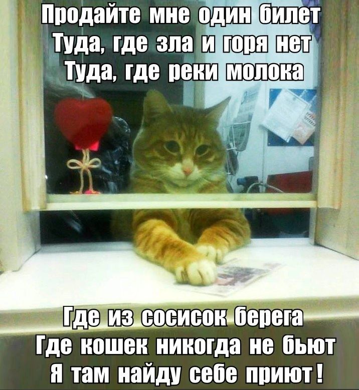 Продайте мне один пипст _ Туда где апа Ш ШШШ ШВП тида гдс псіии А ППЭ ШЭ сосисок бспста гдс иошси никогда не пьют и там найди сспс ппиют