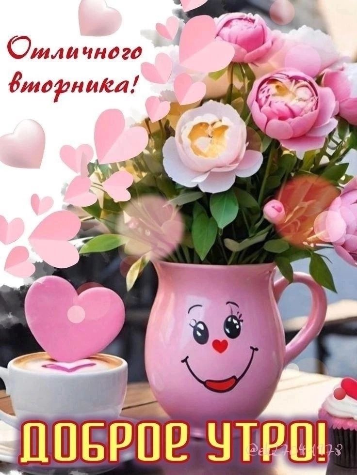 Ош1 И но 6шааниеа