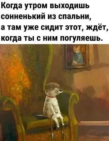 Когда утром выходишь сонненький из спальни а там уже сидит этот ждёт когда ты с ним погуляешь