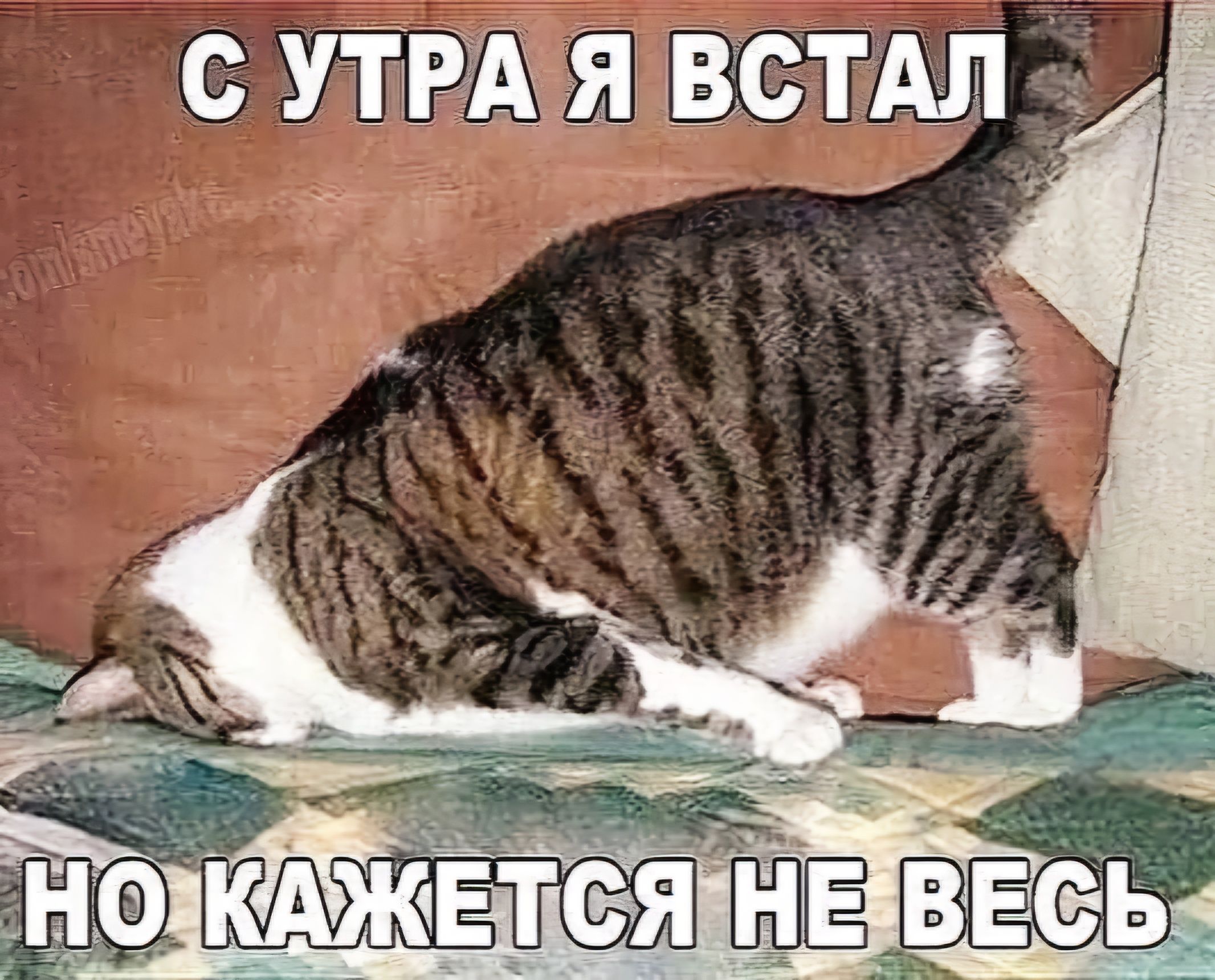 с УТРАЯ ВСТАЛ