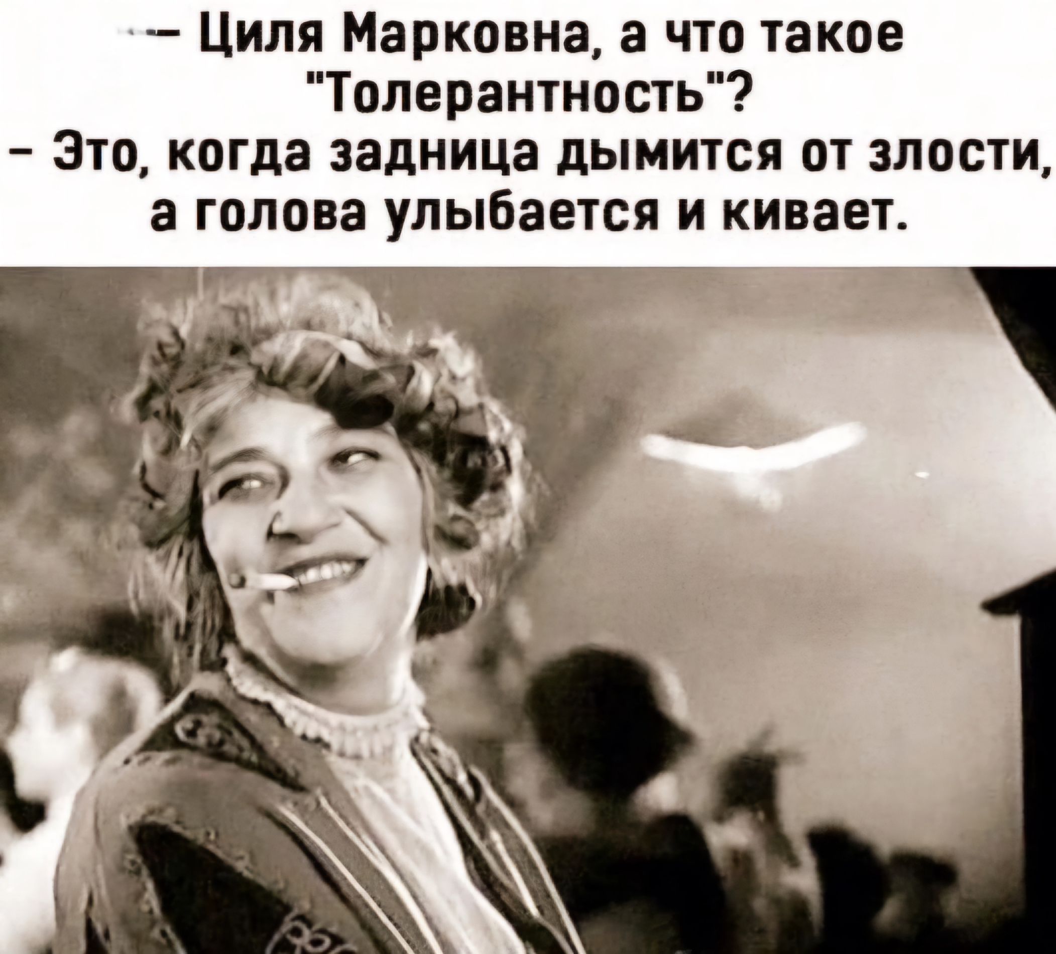 Циля Марковна а что такое Толерантность Это когда задница дымится от злости а голова улыбается и кивает