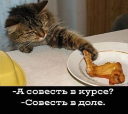 А совесть в курсе Сояесть я доле