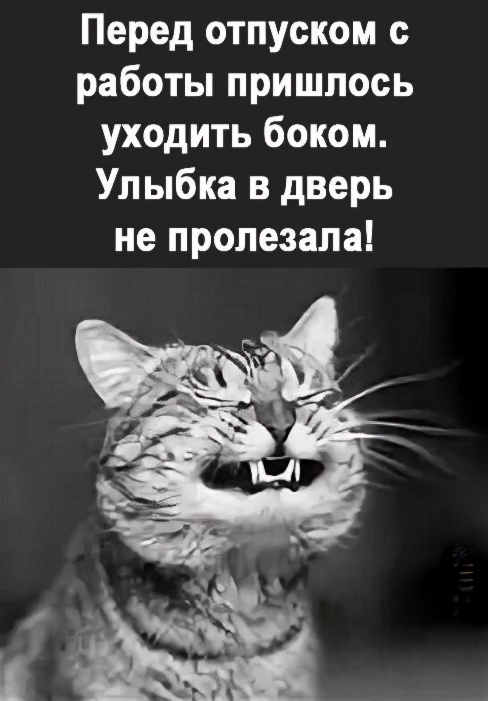 Перед отпуском работы пришлось уходить боком Улыбка в дверь не пролезала