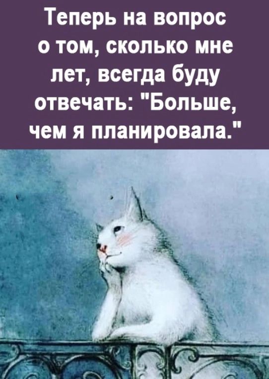 Теперь на вопрос о том сколько мне пет всегда буду отвечать Больше чем я планировала