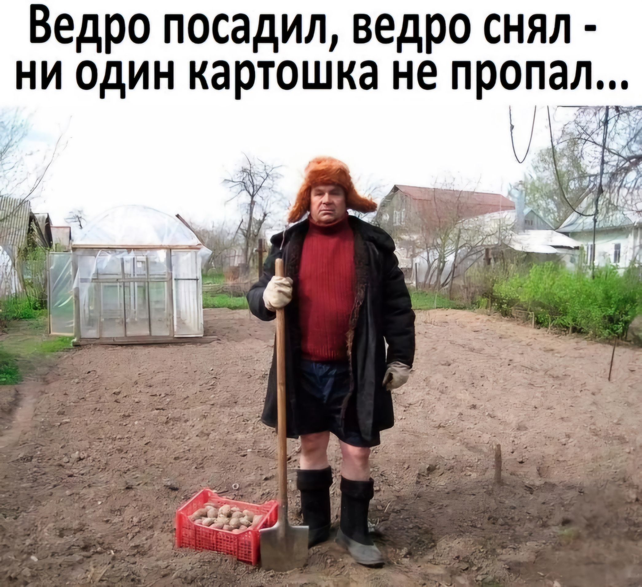 Ведро посадил ведро снял ни один картошка не пропа