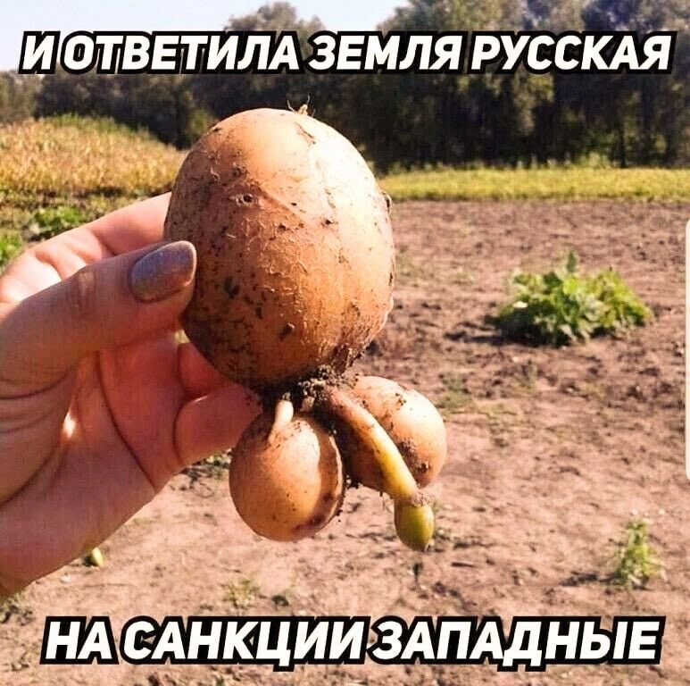 _и ответит звмляЪУЬСкАЯ