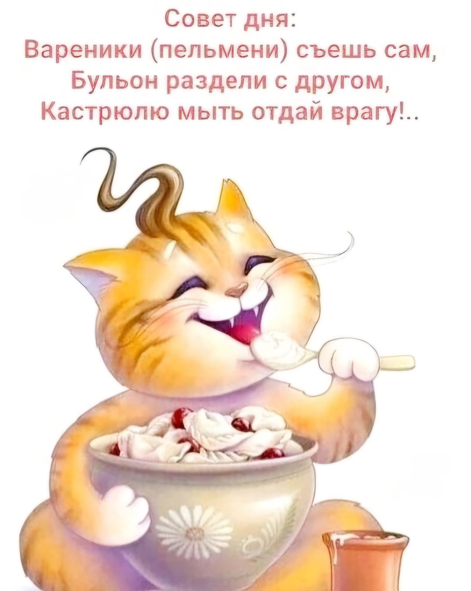 Совет дня Вареники пельмени съешь сам Бульон раздели с другом Кастрюпю мыть отдай врагу