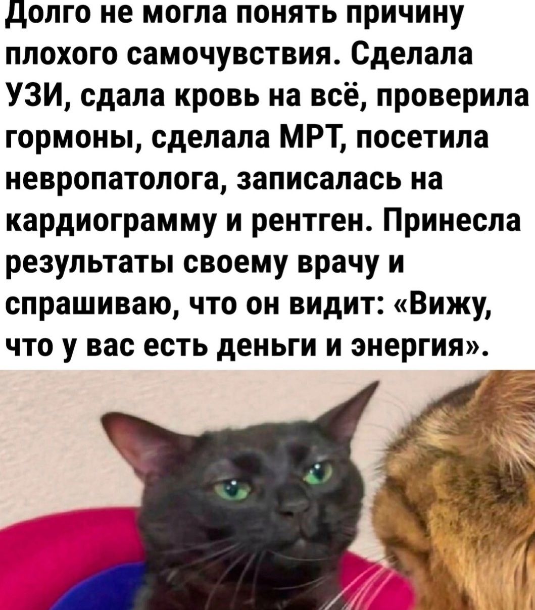 долго не могла понять причину плохого самочувствия Сделала УЗИ сдала кровь на всё проверила гормоны сделала МРТ посетила невропатолога записалась на кардиограмму и рентген Принесла результаты своему врачу и спрашиваю что он видит Вижу что у вас есть деньги и энергия