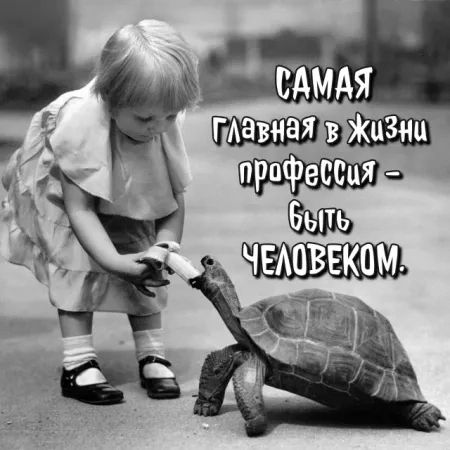 3143 В пит ЧЕАОВЕКОМ