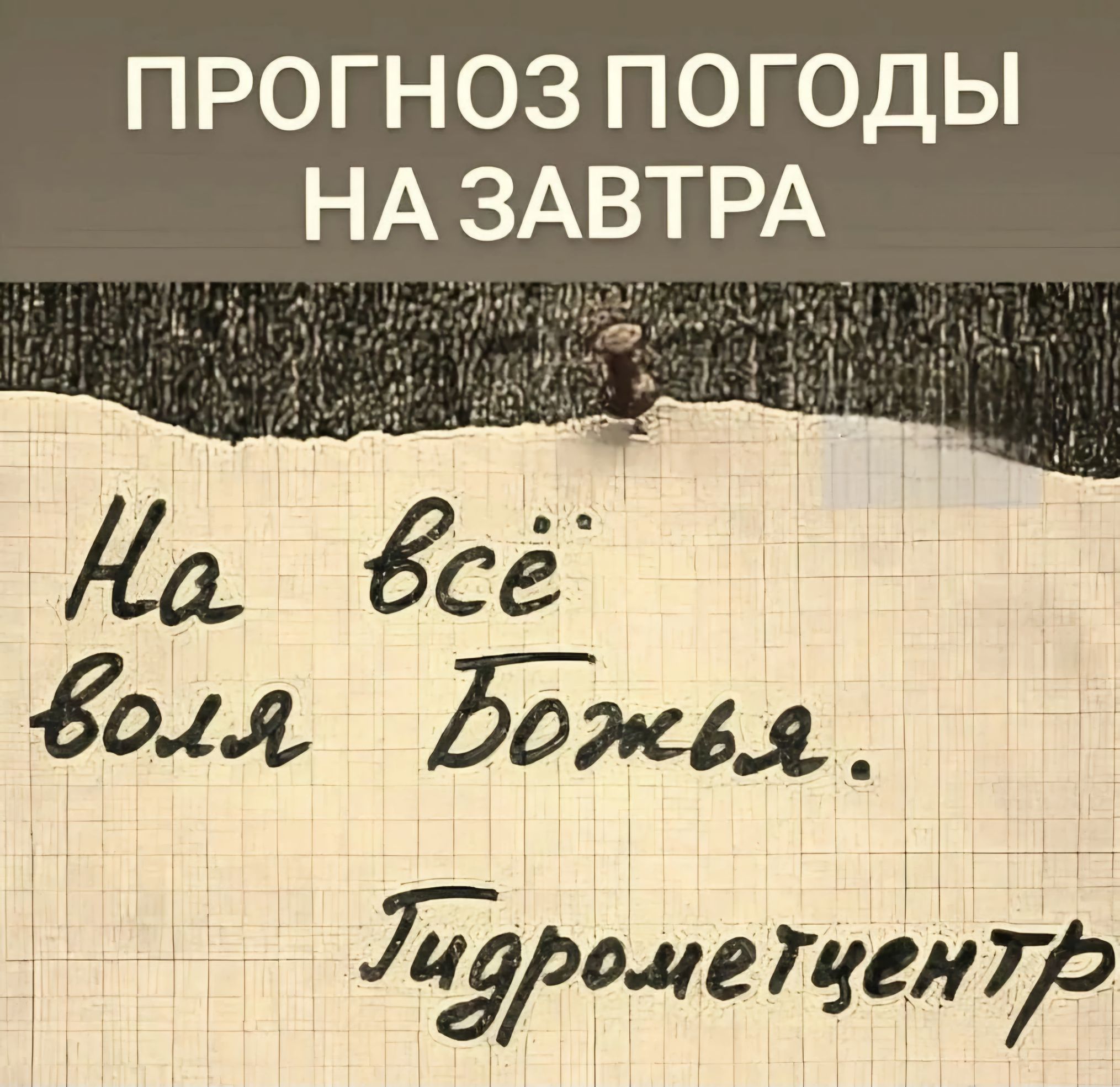 ПРОГНОЗ ПОГОДЫ НАЛЗАВТРА Да дса года Бюл Ягушие геи713