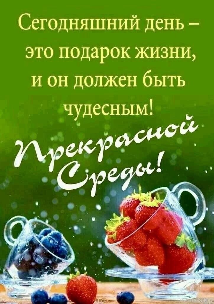 Сегодняшний день это подарок жизни и он должен быть чудесным