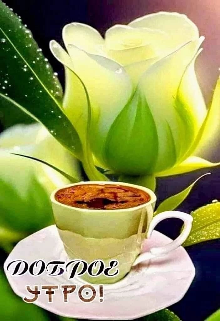 род