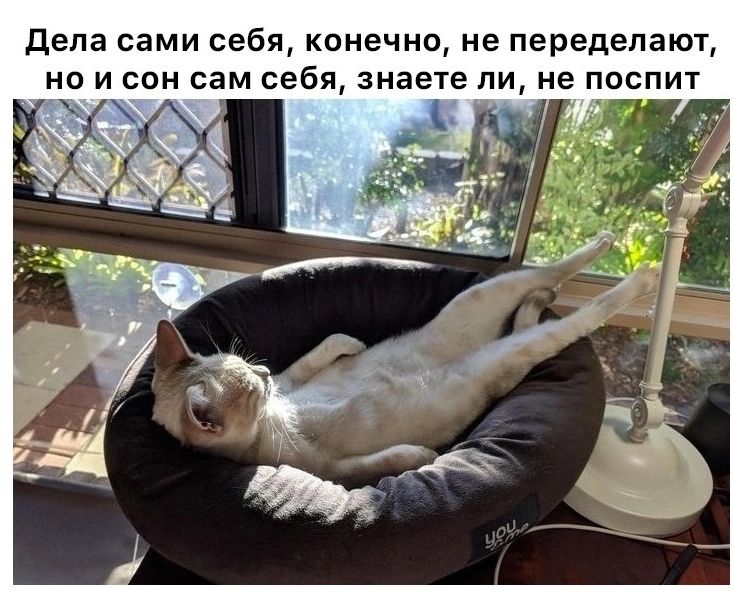 дела сами себя конечно не переделают но и сон сам себя знаете пи не поспит