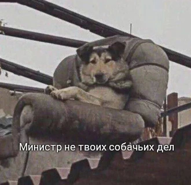 чр МИНИСТР не ТВОИХ собачьих деп
