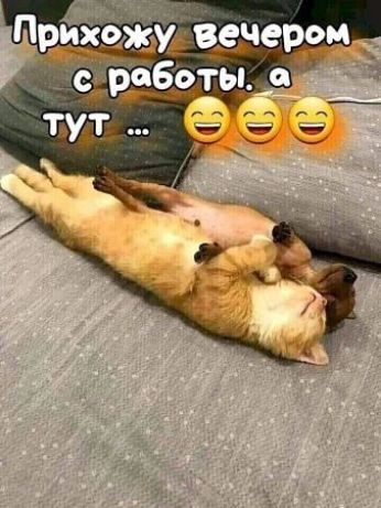 Прихдждудвечером __