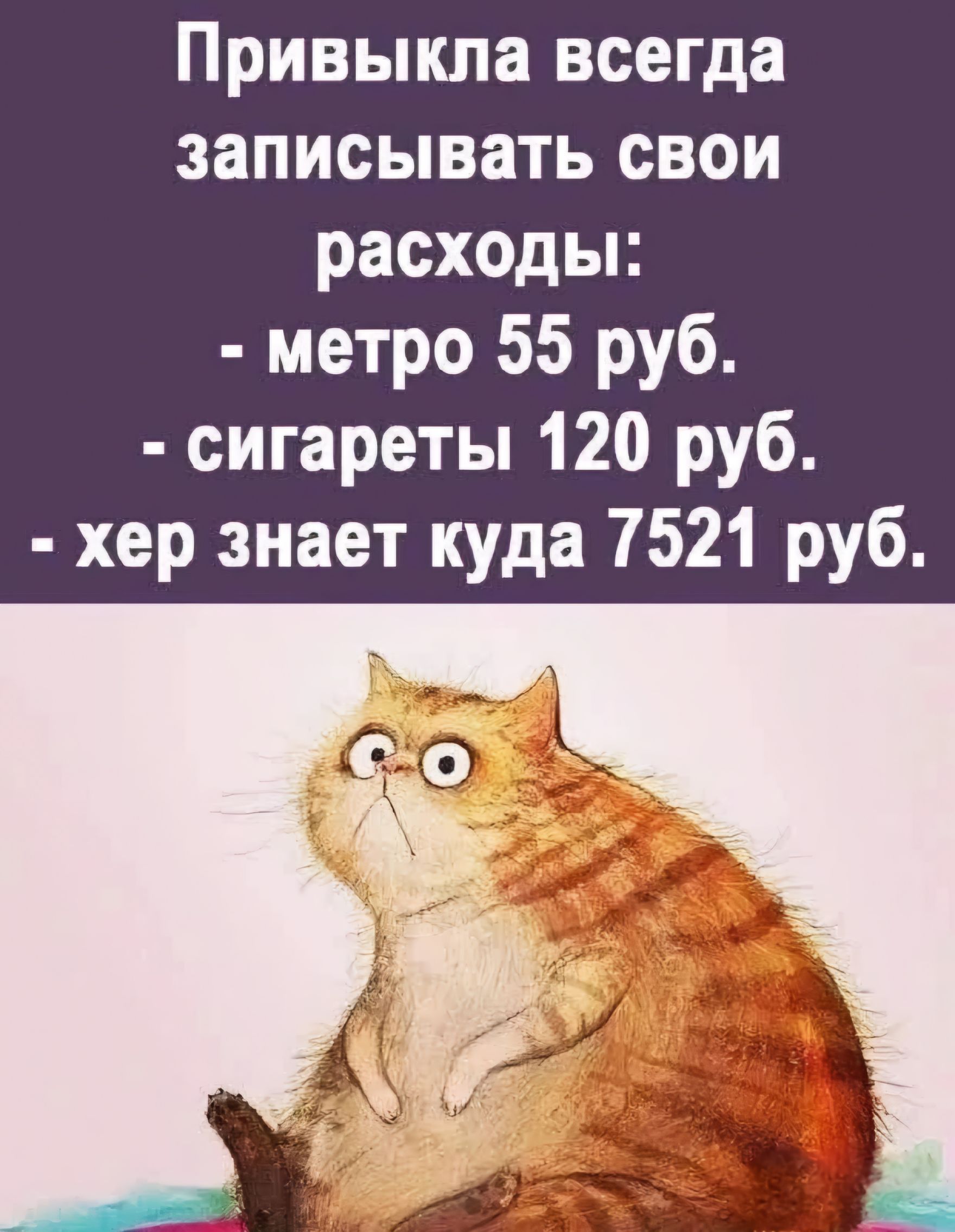 Привыкпа всегда записывать свои расходы метро 55 руб сигареты 120 руб хер знает куда 7521 руб