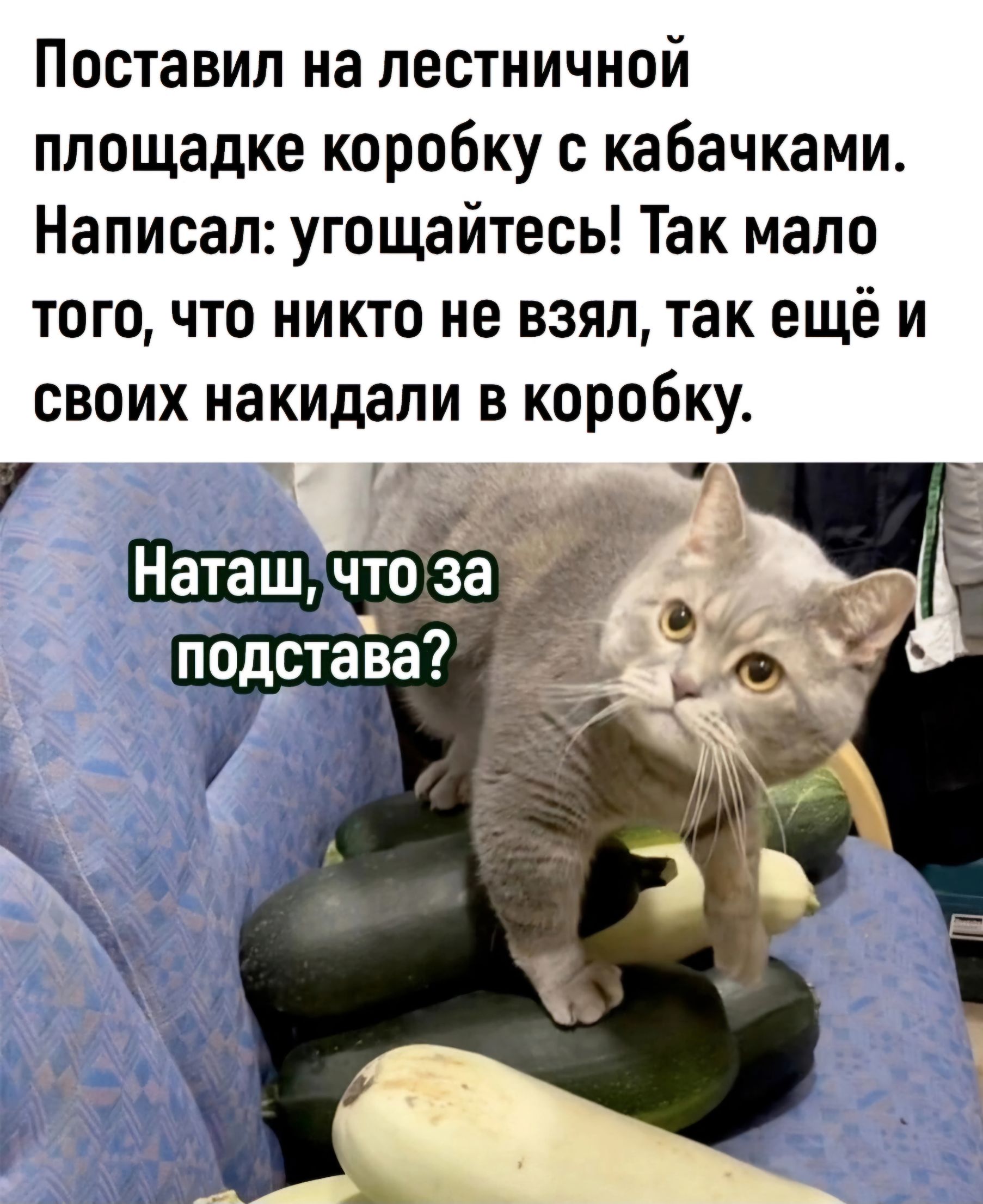 Поставил на лестничной площадке коробку с кабачками Написал угощайтесь Так мало тогочто никто не взял так ещё и своих накидали в коробку