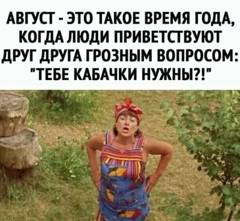 АВГУСТ ЭТО ТАКОЕ ВРЕМЯ ГОДА КОГДА ЛЮДИ ПРИВЕТСТВУЮТ ДРУГ ДРУГА ГРОЗНЫМ ВОПРОСОМ ТЕБЕ КАБАЧКИ НУЖНЫ