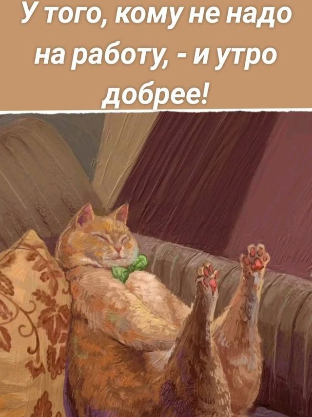 У того кому не надо на работу и утро добрее