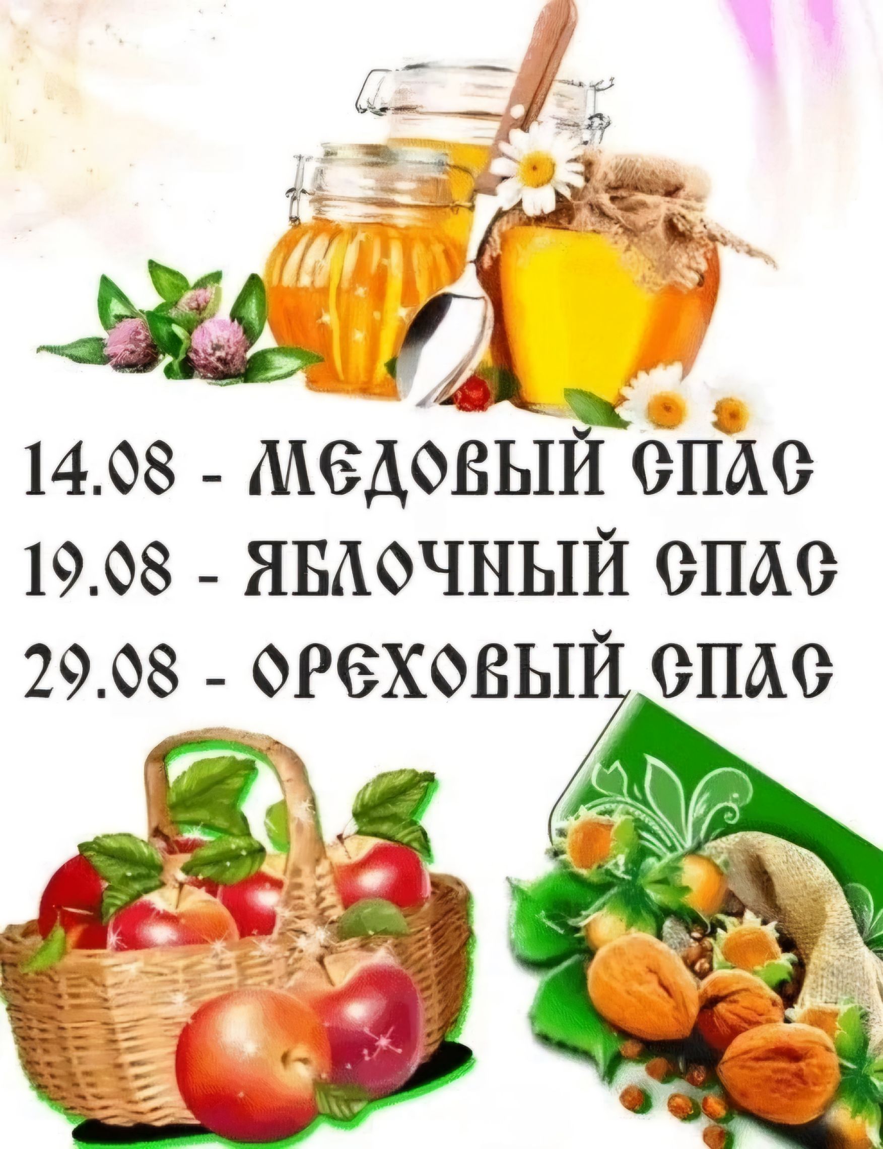 иридн 3 1498 МЕДОВЫЙ Пл 1908 ЯБЛОоЧНЫЙ Па 2908 0Р6Х08Ь7 СПАс