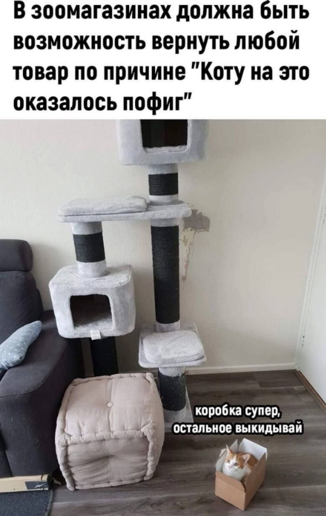 В зоомагазинах должна быть возможность вернуть любой товар по причине Коту на это оказалось пофиг коробка супер остальное выкидывай
