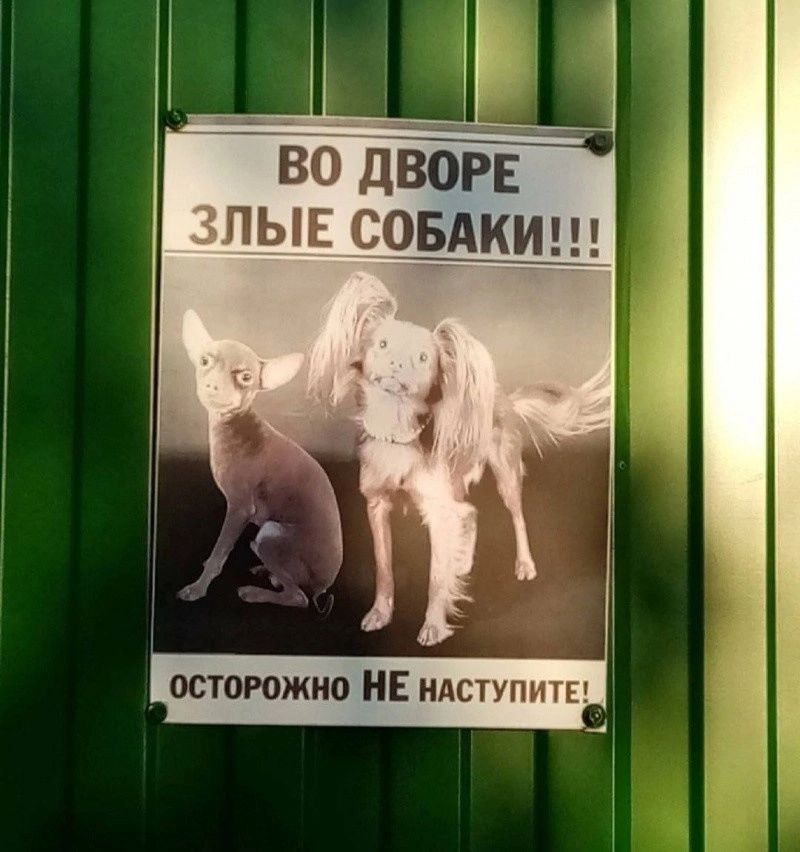 ВО ДВОРЕ ЗЛЫЕ СОБАКИ ОСТОРОЖНО НЕ нАстУПИТЕ