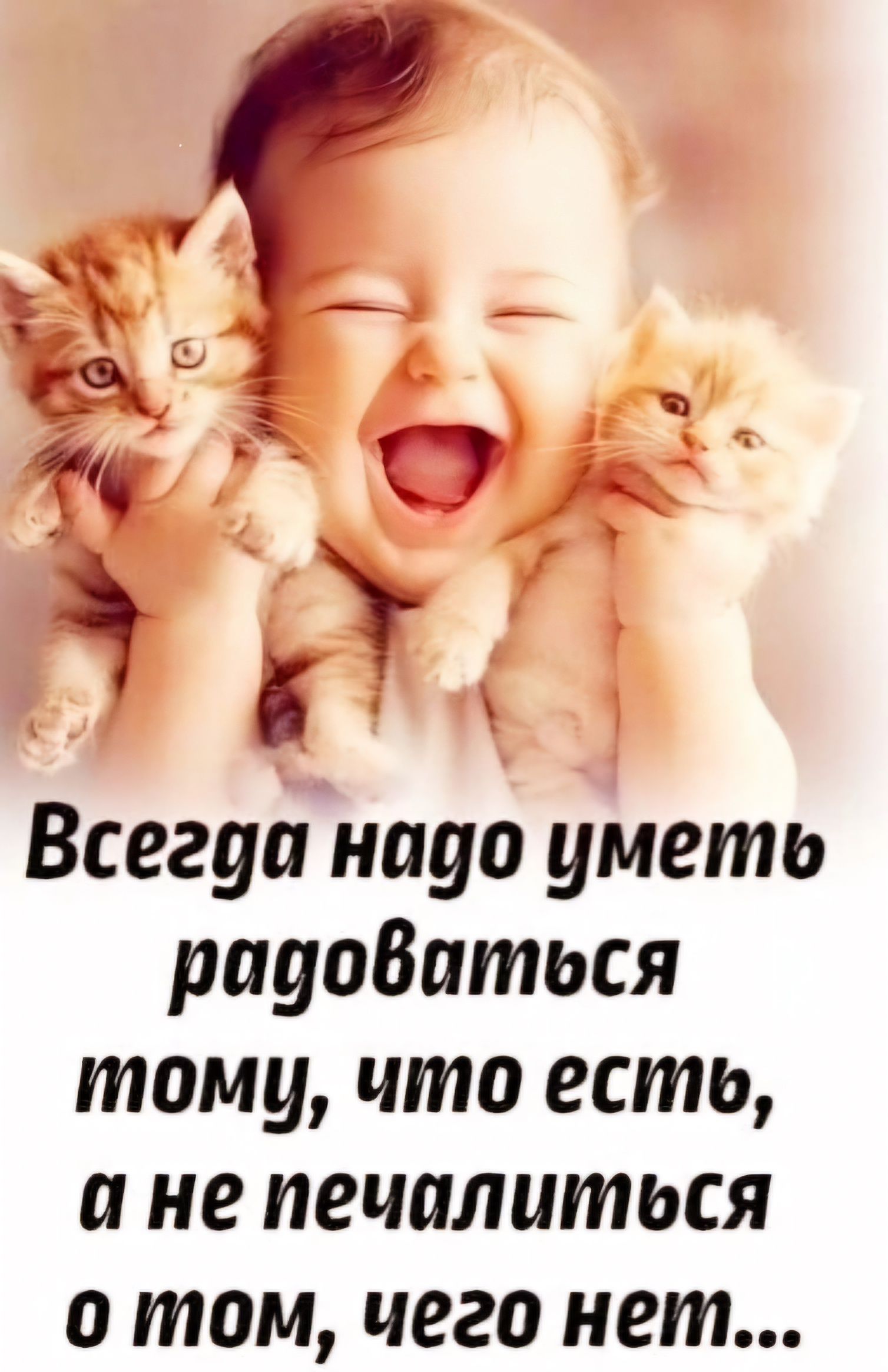 меть радоваться тому что есть й не печалиться о том чего нет