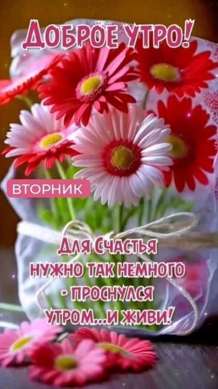 Ла Счддёіг ч НУЖНОМАК НЕМНОГЮ ПРСНУО