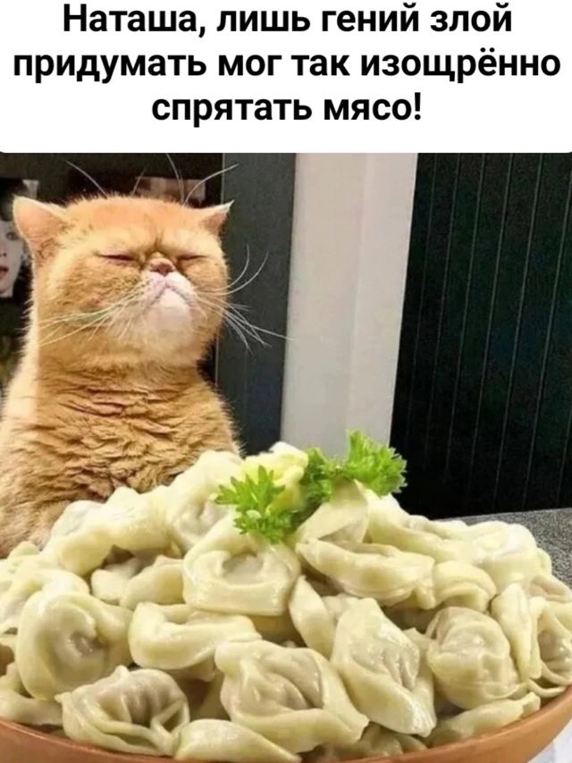 Наташа лишь гений злой придумать мог так изощрённо спрятать мясо