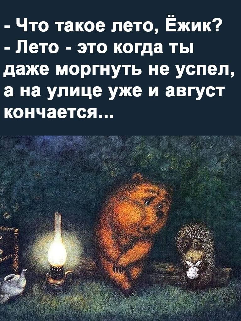 Что такое лето Ёжик Лето это когда ты даже моргнуть не успел а на улице уже и август кончается