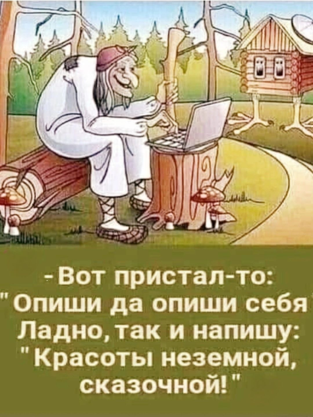 Вот пристал то Опиши да опиши себя Ладно так и напишщу Красоты неземной сказочной