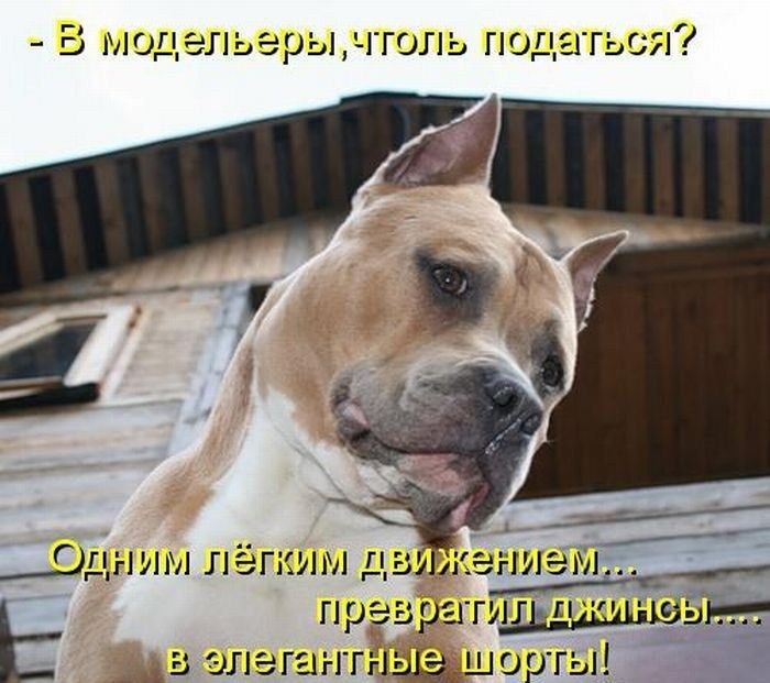 В модельерычтоль податься