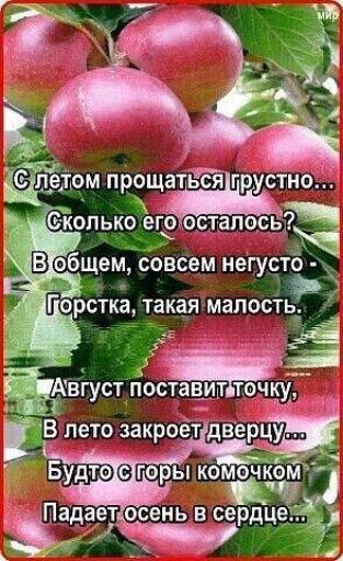 й Ёлепом прощатесяпрустно 5 Сколько еготостало Ч ИВГобщем совсем негусто Р рстка такаямалость т 7 А й вгуст Ыосташггтон ы У да ИВ лето закроётдверцую