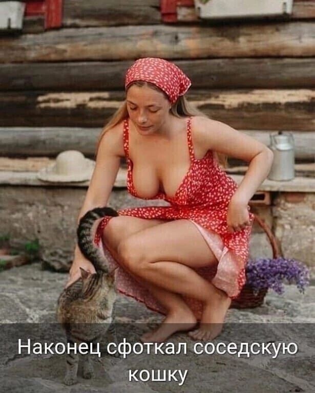 Наконец сфоткалсоседскую кошку 5