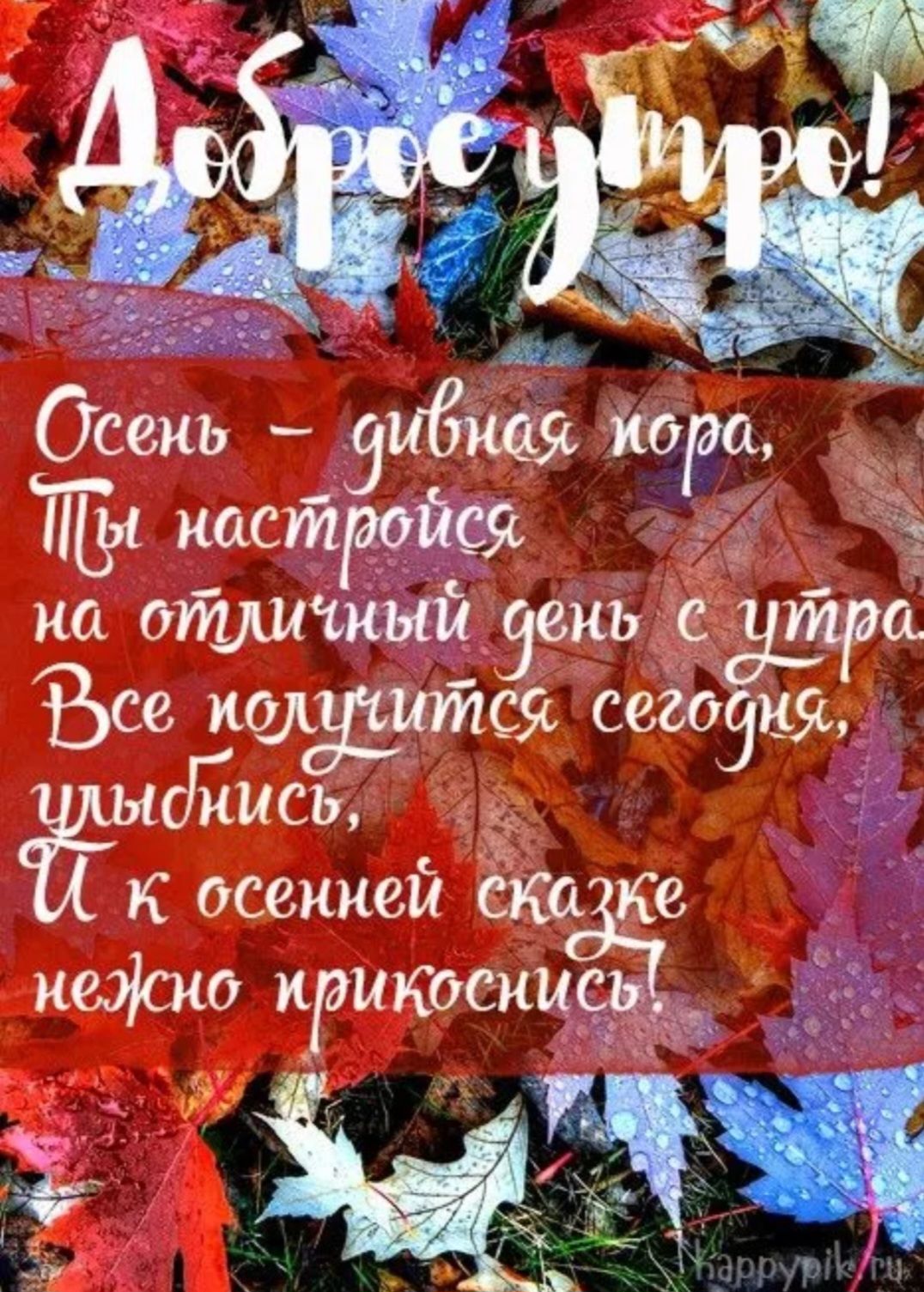 Осеиь ищя Т иастаойся у а на отдичный день тра уе кудтся сегодив ИиСЪ г К осенней сюп ке неіою пэшосии