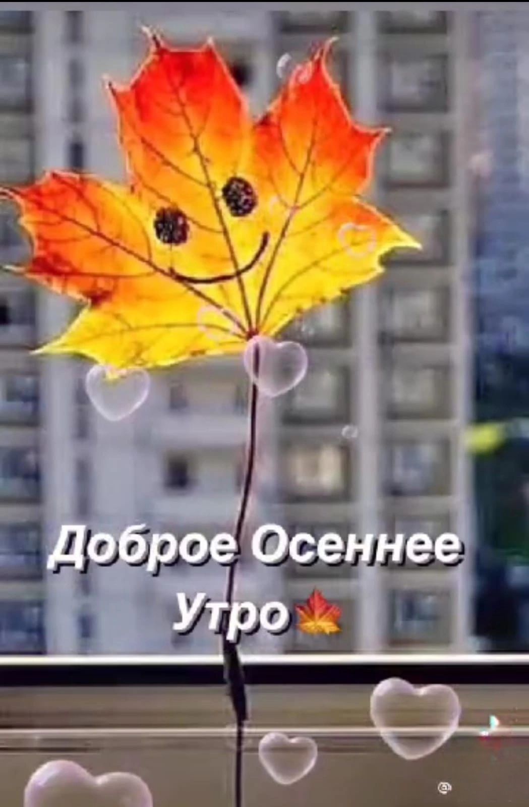 ч Доброе Осеннее УБр ГХ