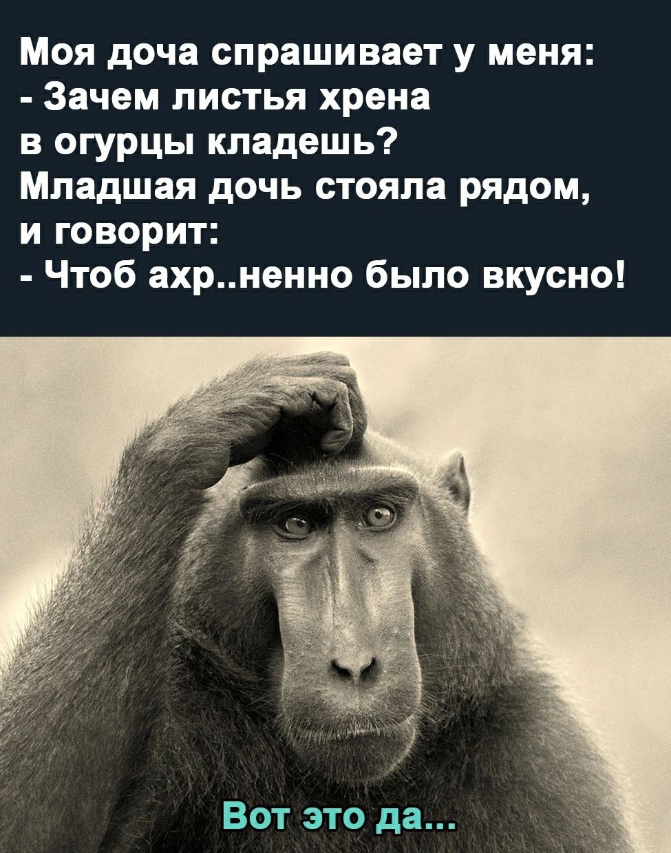 Моя доча спрашивает у меня Зачем листья хрена в огурцы кладешь Младшая дочь стояла рядом и говорит Чтоб ахрненно было вкусно Вот это да