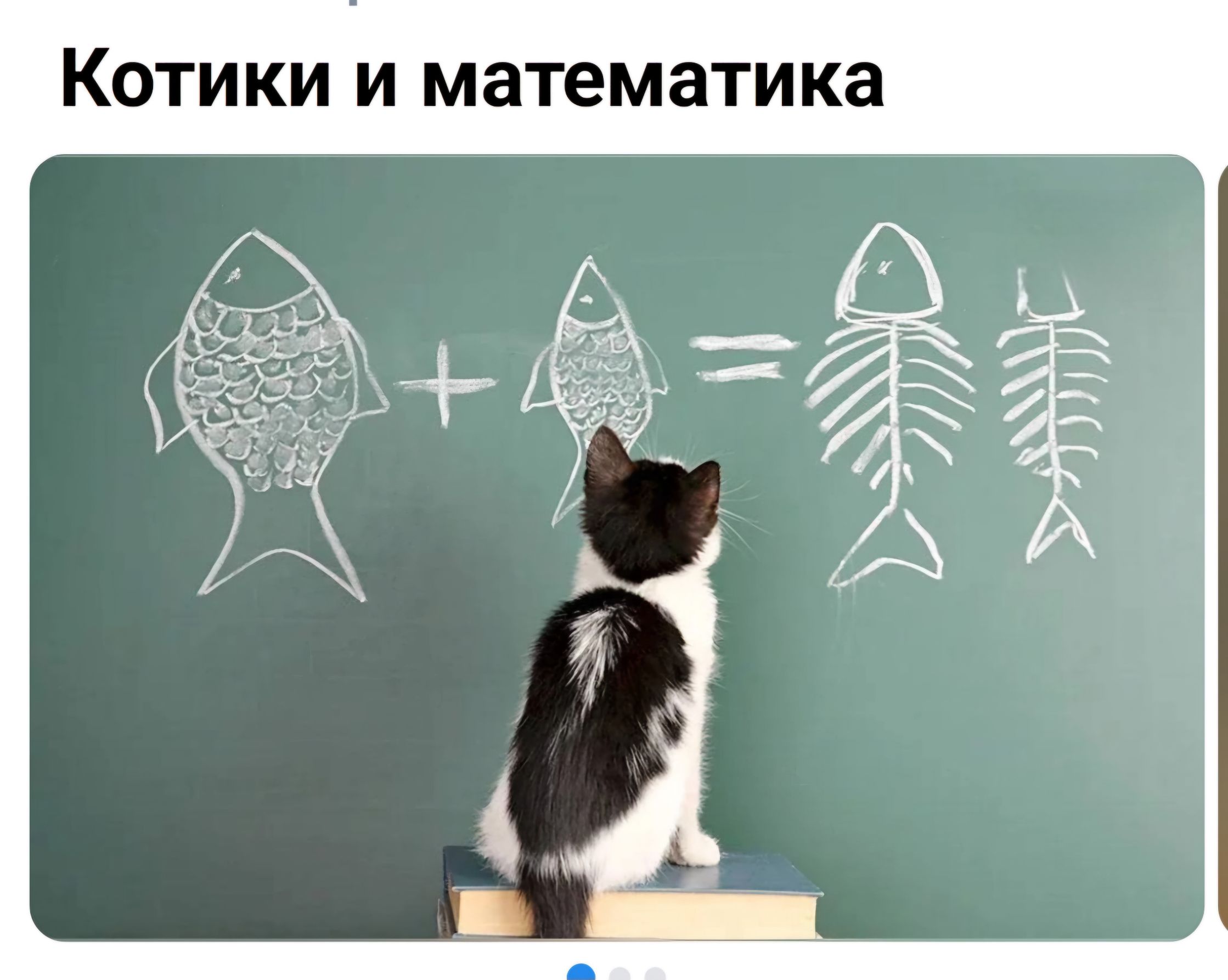 Котики и математика