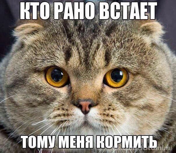 Св Е ТО РАНО ВСТАЕТ