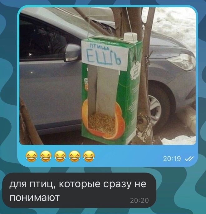 2019 для птиц которые сразу не понимают