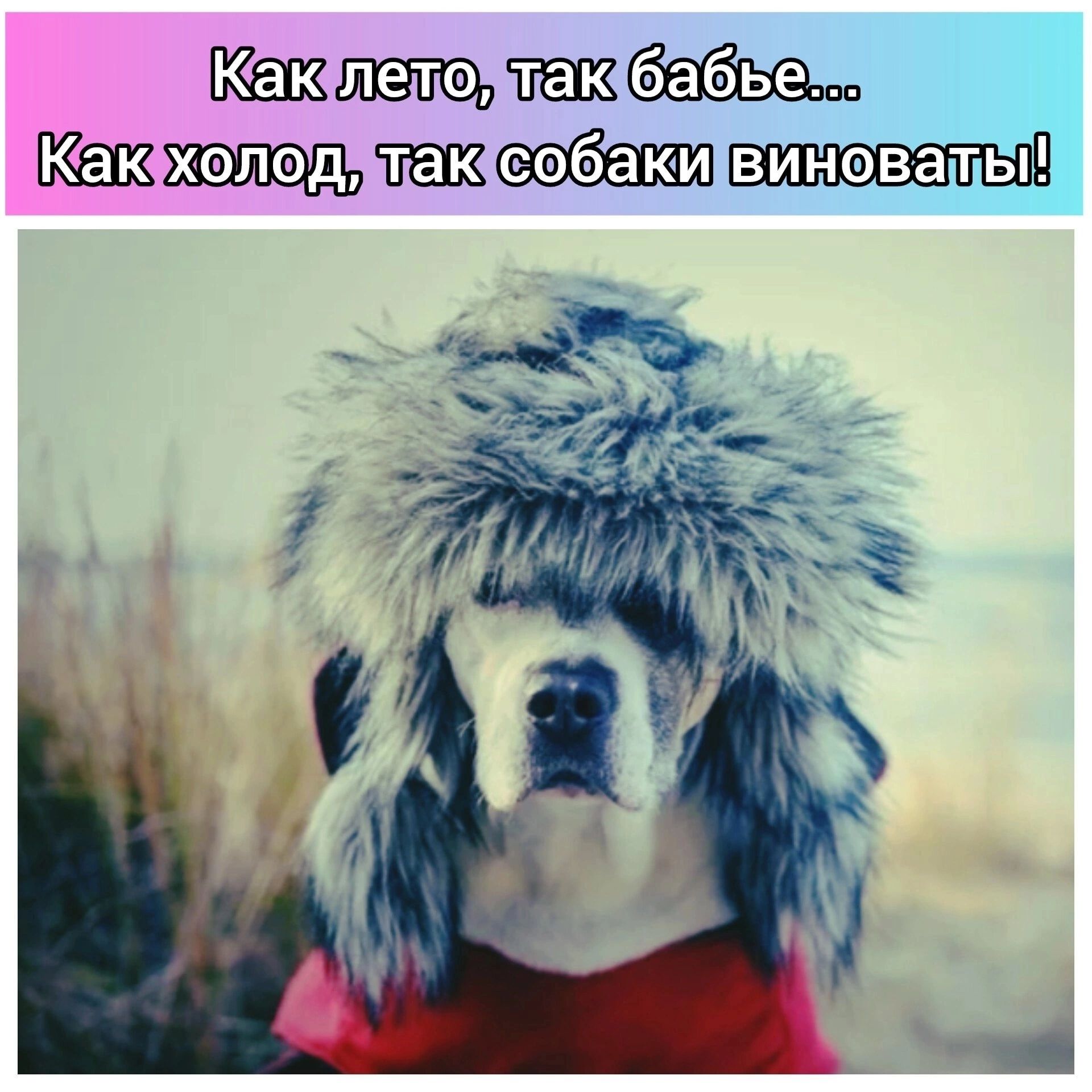 Каклетозаюбабвета Какфхолодитаксобакивиновацеи