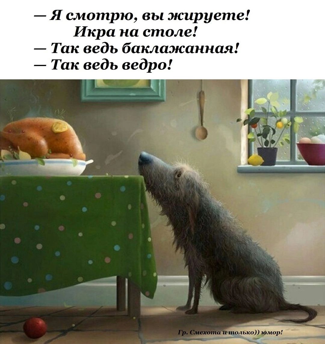 Я смотрю вы жируете Икра на столе Так ведь баклажанная Так ведь ведро